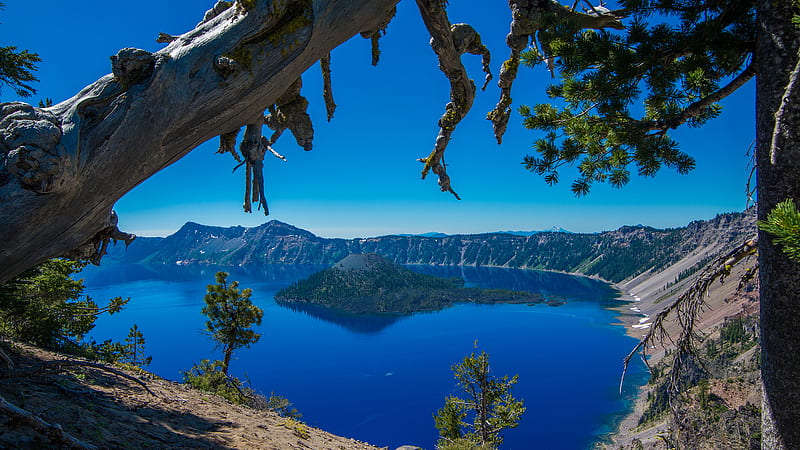 Landscape View Of Crater Lake National Park Island Oregon Tree Nature, HD wallpaper