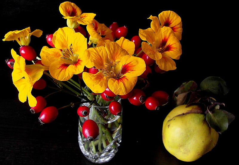 Autumn beauty, red, autumn, orange, flowers, quince, yellow, beauty, rosehips, HD wallpaper