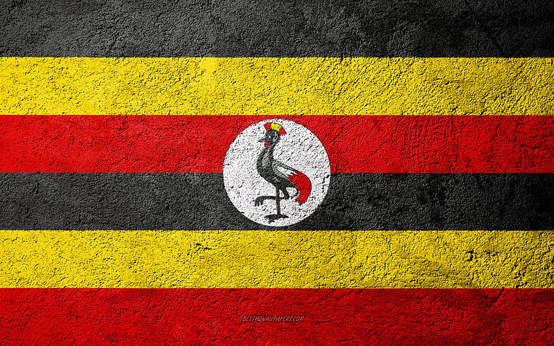 Flag of Uganda, concrete texture, stone background, Uganda flag, Africa, Uganda, flags on stone, HD wallpaper