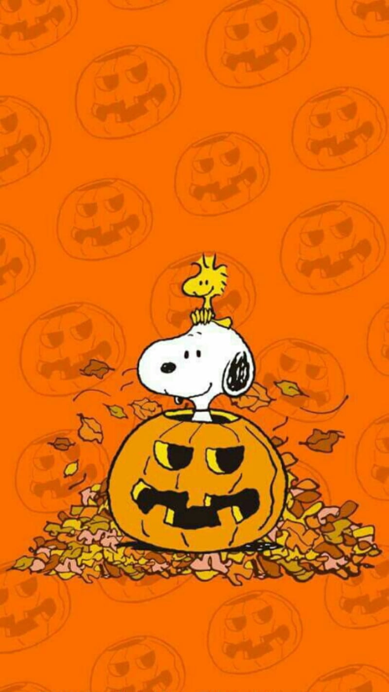 Snoopy de halloween, Fondo de pantalla de teléfono HD | Peakpx