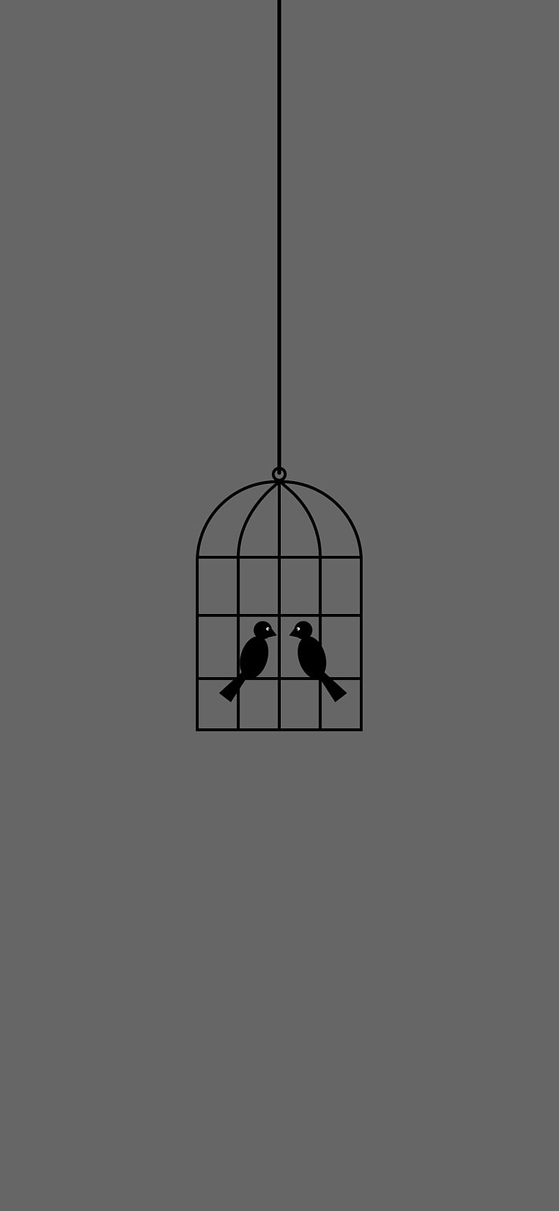 Cage, birds, flat, lockscreen, love, minimal, minimalist, HD phone wallpaper