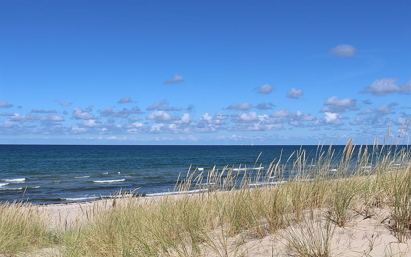 Baltic Sea, Baltic, dunes, bent-grass, sea, HD wallpaper