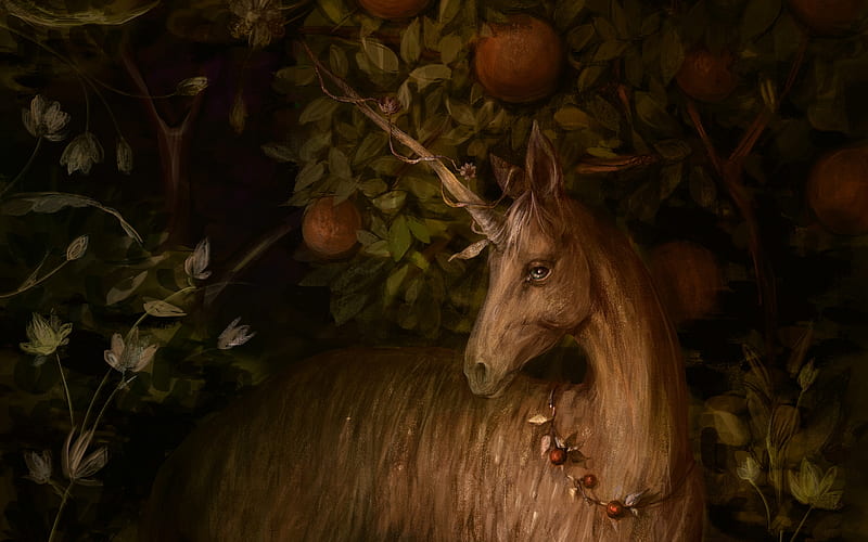 Unicorn, art, fruit, fantasy, orange, dark, olga sheglova, HD wallpaper