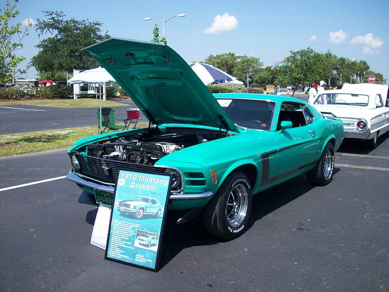 Mustang, Classic, 1970, Ford, Green, HD wallpaper | Peakpx