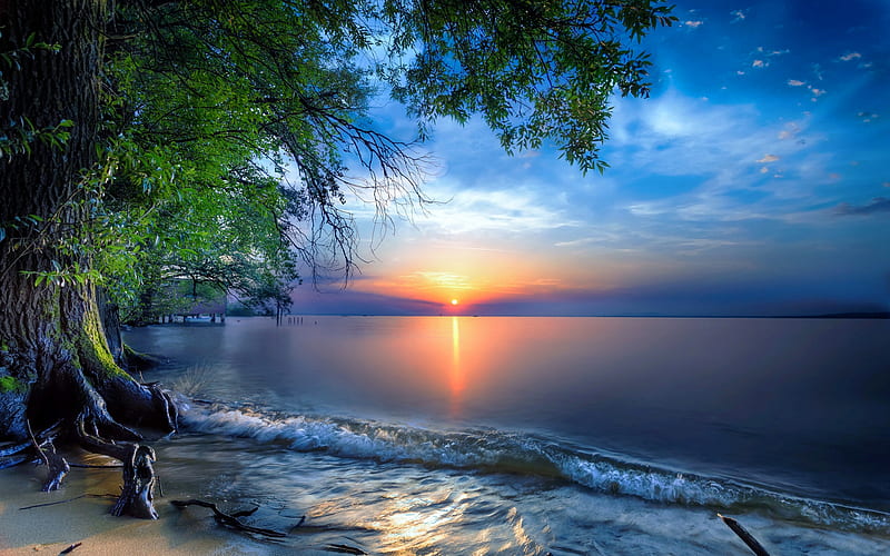Lake Constance, sunset, Bodensee, summer, Austria, Europe, HD wallpaper