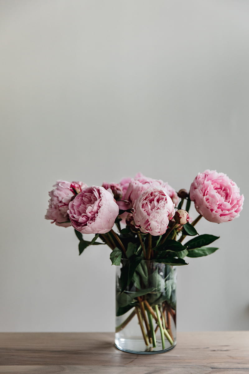 peonies, flowers, bouquet, pink, vase, HD phone wallpaper