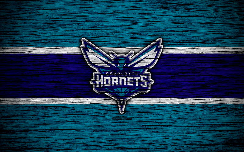 Charlotte Hornets, basketball, logo, nba, team, HD wallpaper
