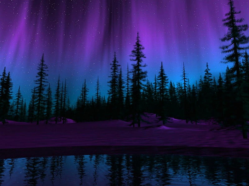 The northern lights, stars, purple, trees, lake, blue, night, HD wallpaper