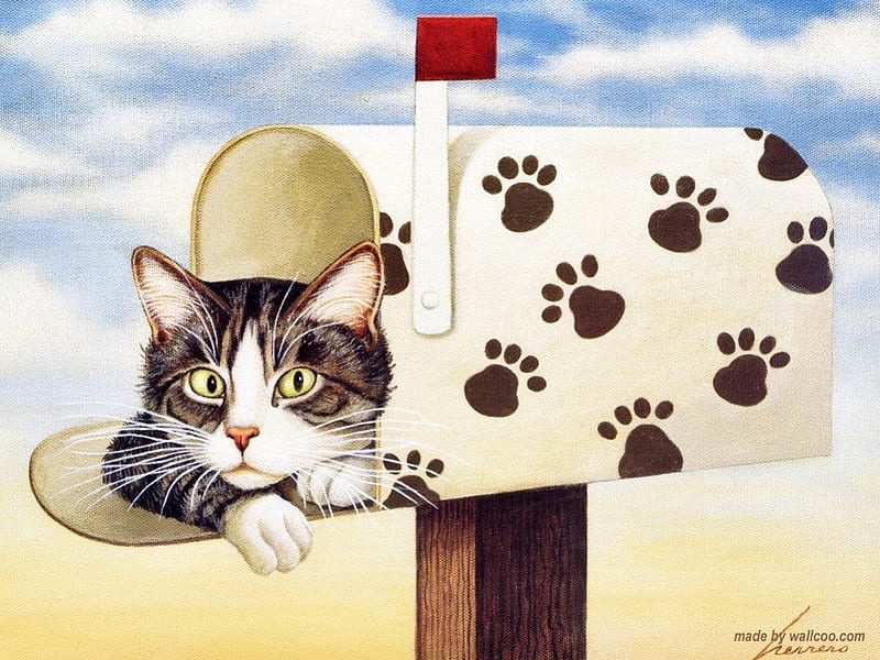 FUNNY CAT INBOX, artistic, pretty, paintings animals, box, adorable, digital art, inbox, paintings, love, mailbox, American cat, animals, lovely, dog footprints, kittens, cute, funny, nature, cats, HD wallpaper