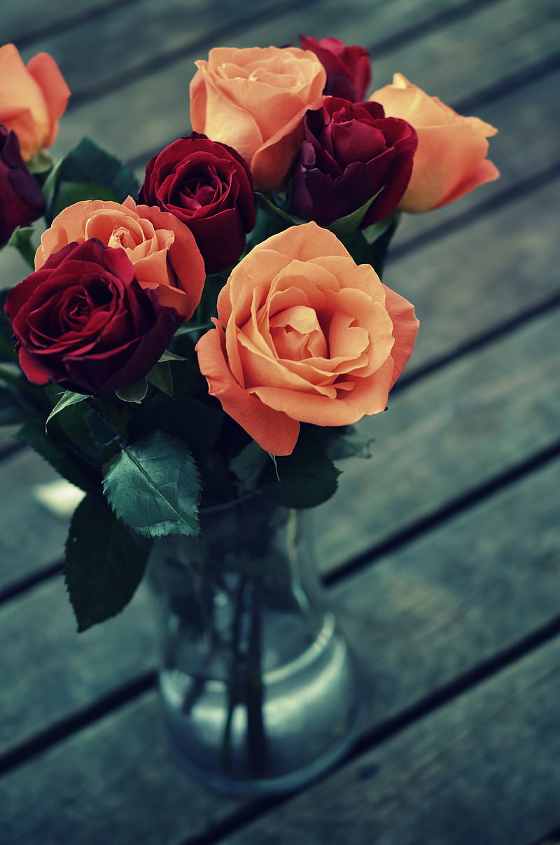 Red and Orange Roses in Clear Glass Vase, HD phone wallpaper