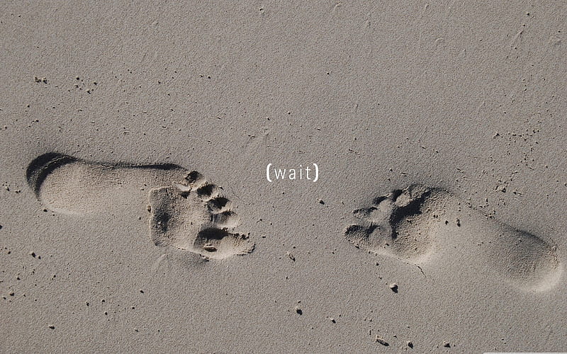 footprints-love the design, HD wallpaper