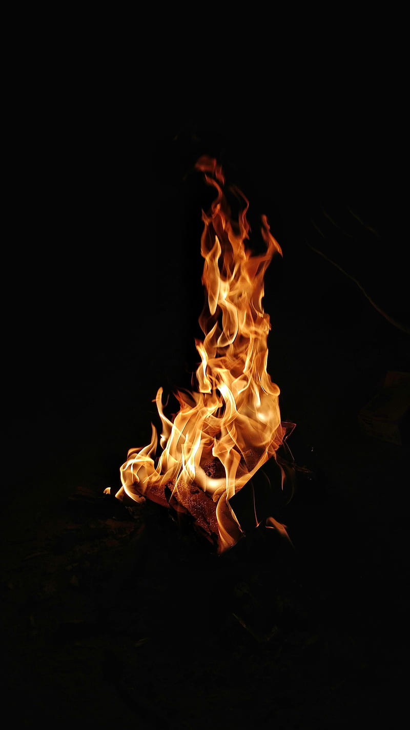 Campfire , fire, HD phone wallpaper