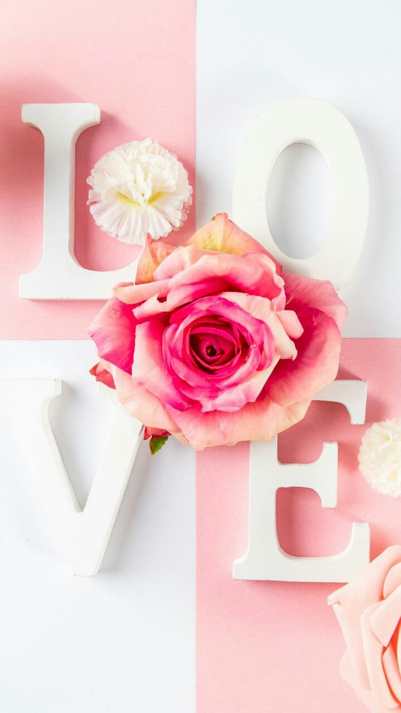 Roses, letter, love, pink, rose, HD phone wallpaper | Peakpx