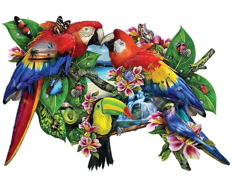 Exotic birds, exotic, summer, pasari, parrot, toucan, blue, red, art, vara, bird, HD wallpaper