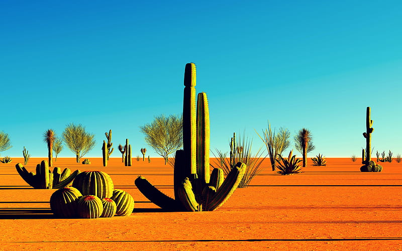 Earth, Cactus, California, Desert, Landscape, Sand, HD wallpaper