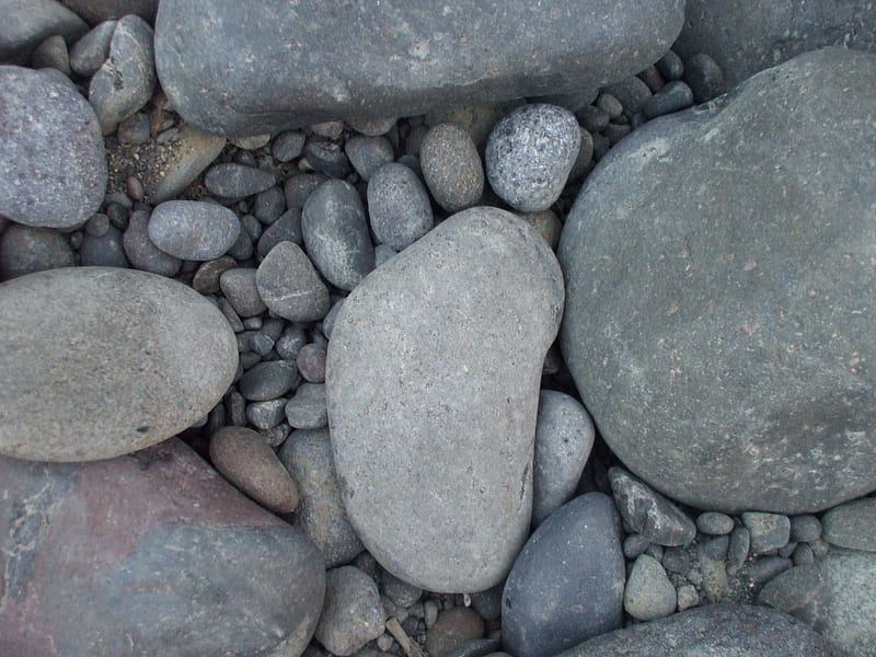 Stony footprint, rocks, gris, footstep, river, pebble, HD wallpaper