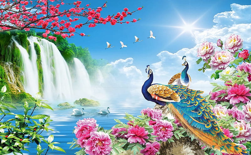 Peacock Waterfall, fall, island, water, peacocks, flowers, HD wallpaper