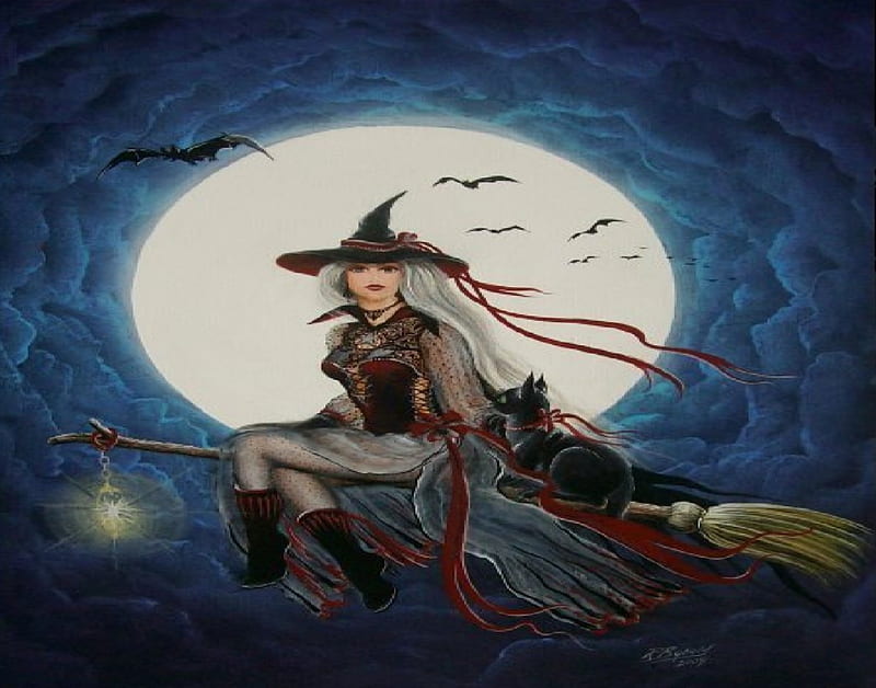 Witch On Her Broom, witch, moon, bats, cat, broom, HD wallpaper