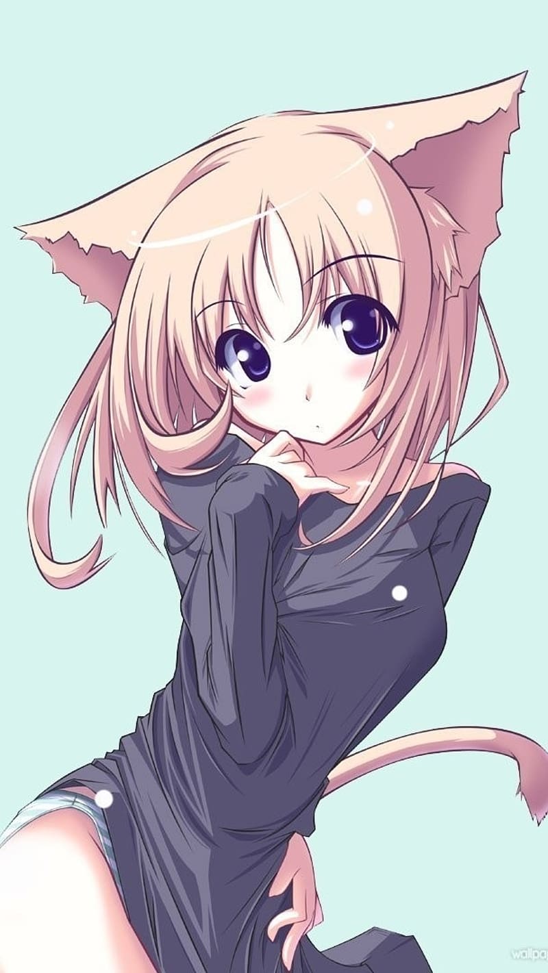 Cute Anime Girl, anime cat girl, anime girl, cartoon, cat girl