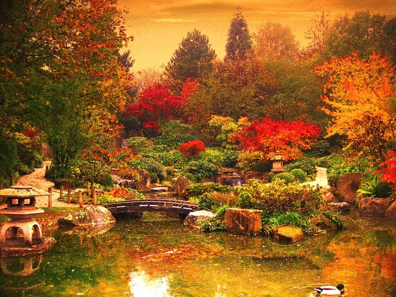 autumn, fall, garden, lake, hause, HD wallpaper