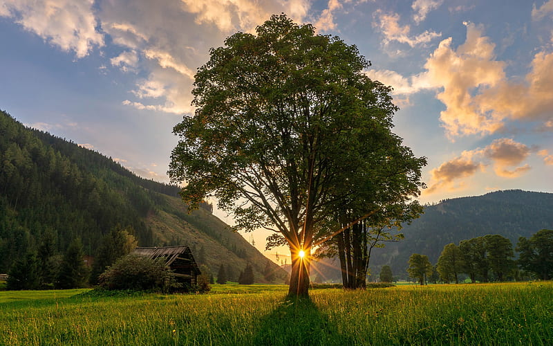 Ramsau, sunset, summer, beautiful nature, meadows, Austria, Europe, HD wallpaper