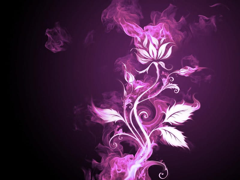 Magenta Flower, flower, magenta, purple, smoke, HD wallpaper