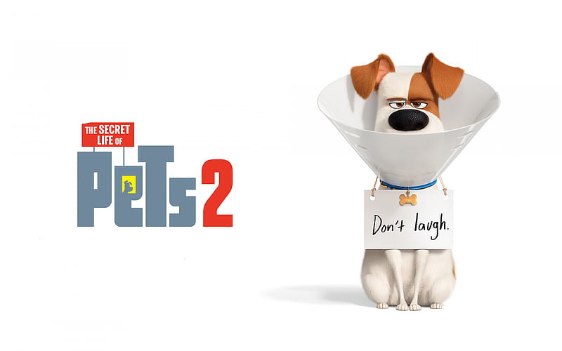 The Secret Life of Pets 2, 2019, poster, promotional materials, dog,  characters, HD wallpaper | Peakpx