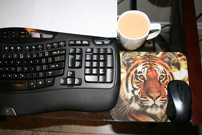 Coffee while I am on Computer, pad, graphy, coffee, black, mug, tiger, white, key board, HD wallpaper