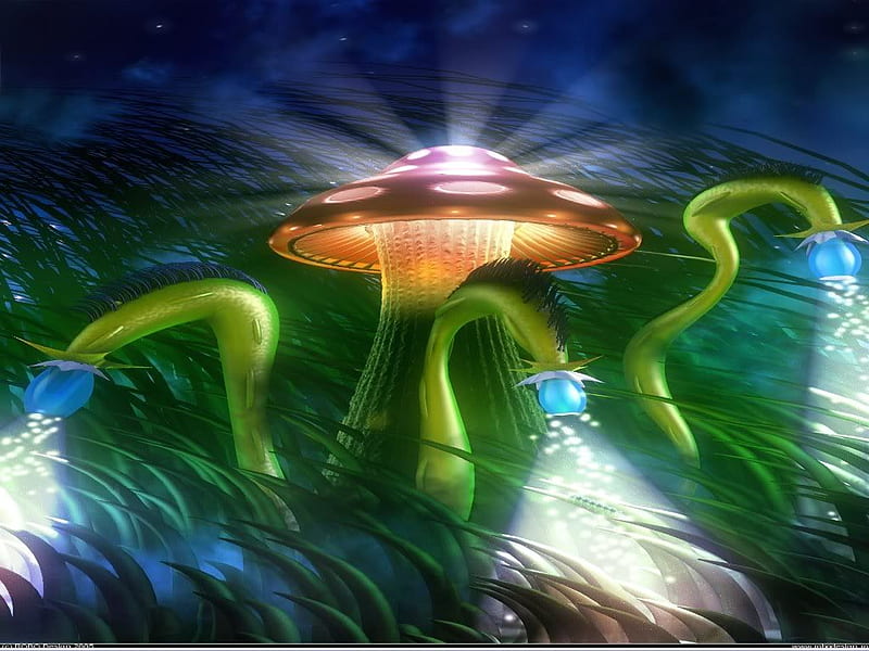Magic Mushroom, weird, green, grass, mushroom, sky, blue, light, HD wallpaper