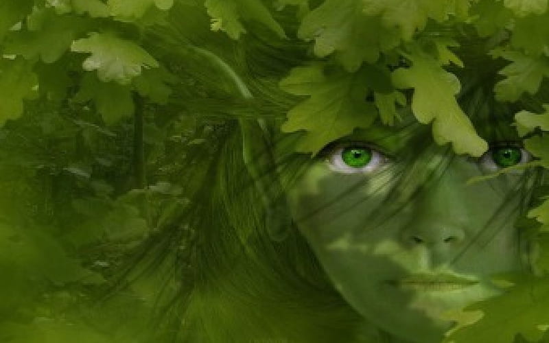 Lady Wood Elf, leaves, green, face, eyes, trees, HD wallpaper