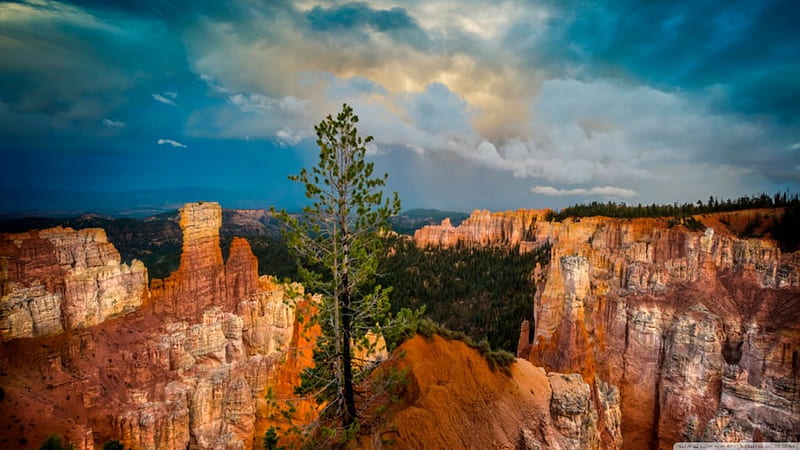 Bryce Canyon, new, nature, popular, canyons, HD wallpaper