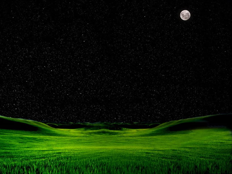 bliss at night, stars, moon, dark, full, HD wallpaper