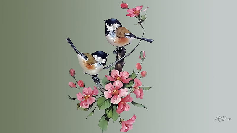 Painted Chickadees, art, chickadees, sakura, flowers, birds, spring, floral, cherry blossoms, painted, HD wallpaper