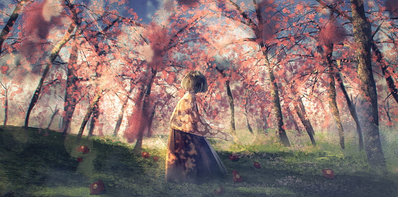 anime girl, anime landscape, forest, scenery, sakura blossom, trees, Anime, HD wallpaper