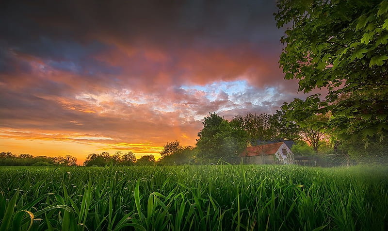 Little house, sunset, clouds, green, field, HD wallpaper
