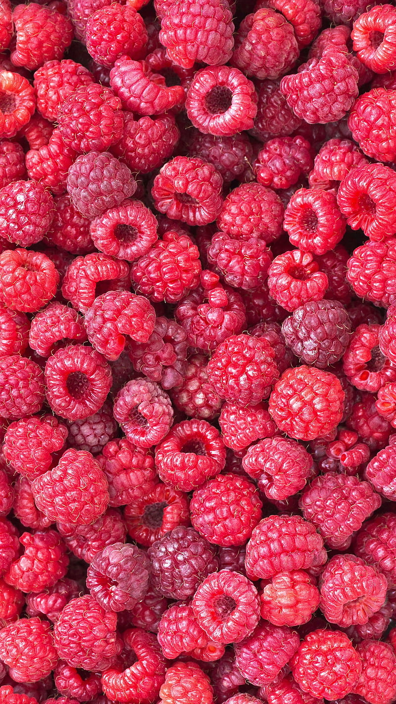Pink Colourful Raspberry Wallpaper  Feathr Wallpapers
