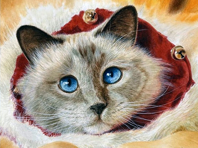 Cinco de Mayo - Cat 1, art, christmas, kitty, cat, artwork, animal, pet, feline, painting, HD wallpaper