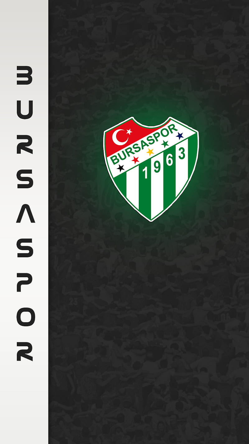 Bursaspor, symbol, Teksas, White, green, Bursa, logo, HD phone wallpaper