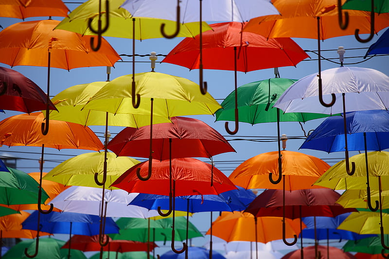 Umbrella Lot, HD wallpaper