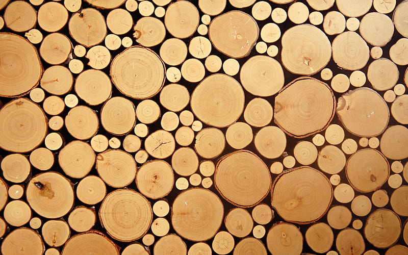 wood logs textures, macro, brown wooden texture, wooden circles, brown wooden backgrounds, wooden textures, wooden logs, brown backgrounds, HD wallpaper