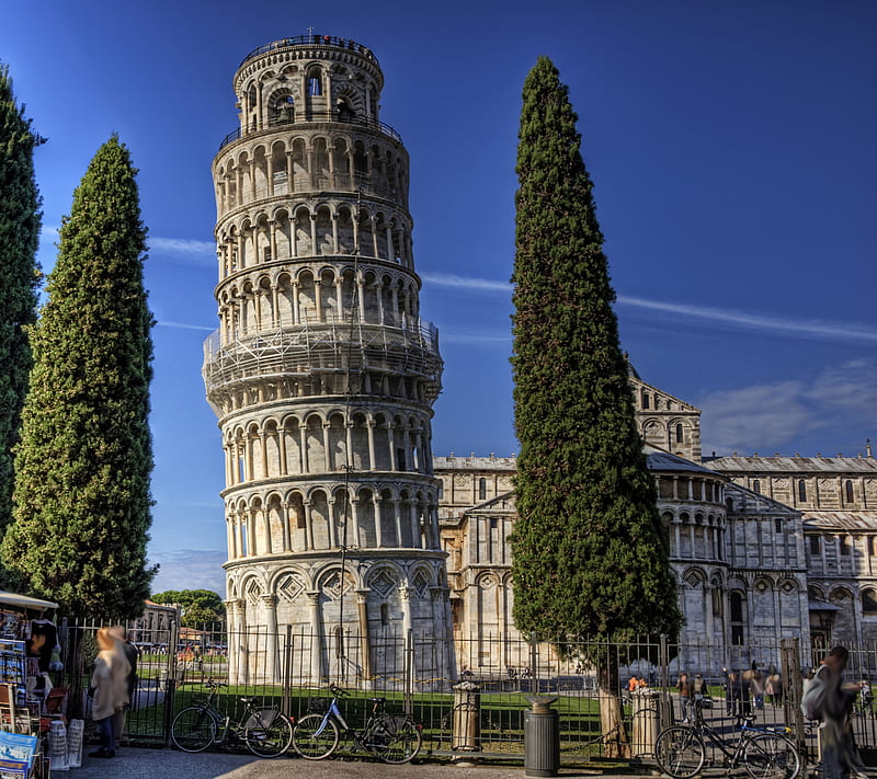 Italy, building, europe, italian, pisa, tower, tree, HD wallpaper