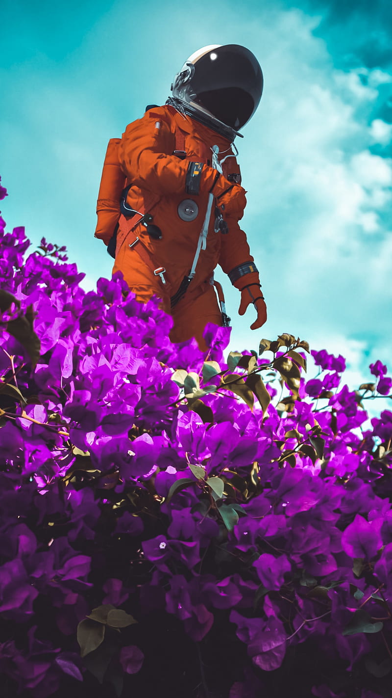 Space Garden, Nock, astronaut, colors, flowers, imagination, purple, scene, sky, spaceman, HD phone wallpaper