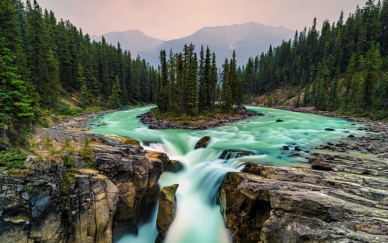 Sunwapta River, waterfalls, forest, canadian landmarks, Sunwapta Falls, Jasper National Park, Alberta, Canada, HD wallpaper