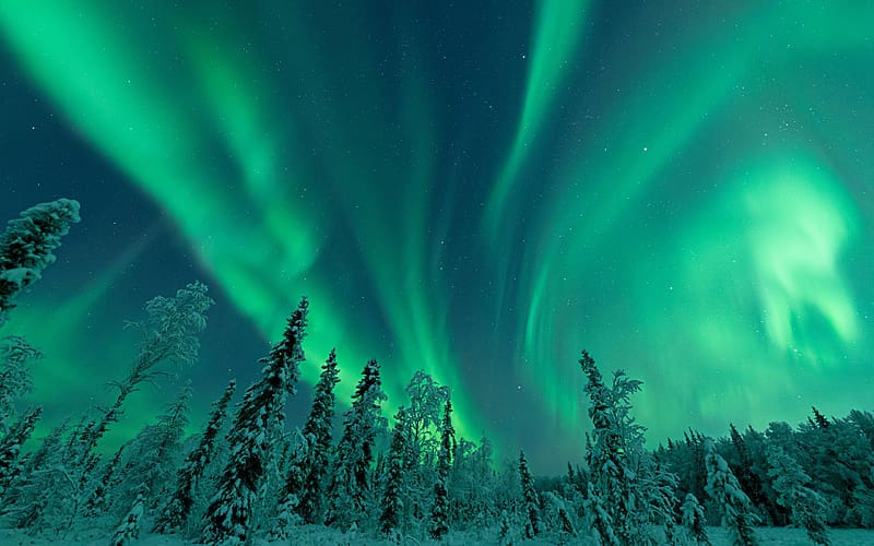 Winter Wonderland in Alaska, northern lights, snow, landscape, colors, trees, forest, usa, HD wallpaper