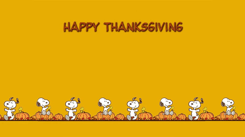Brown Happy Thanksgiving Word In Yellow Background Thanksgiving, HD wallpaper