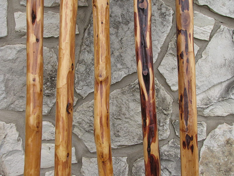 walking sticks, walking, sticks, cedar, trails, HD wallpaper