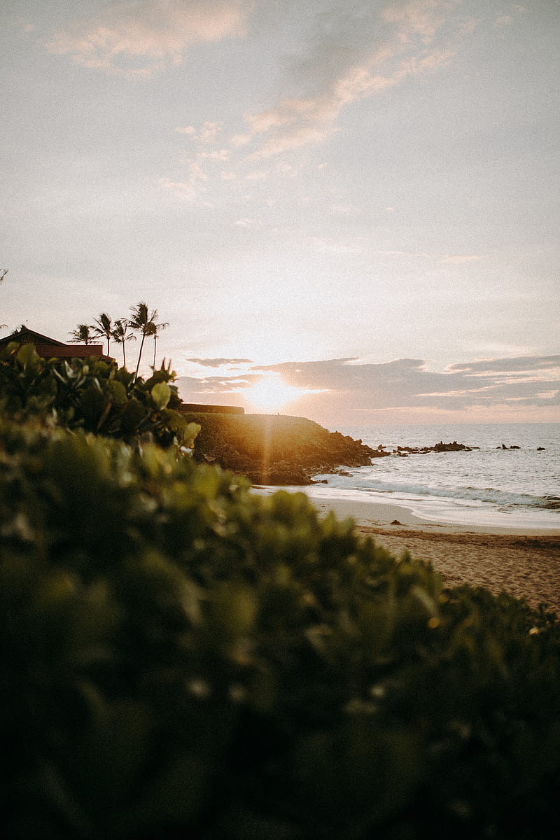 beach, ocean, sunset, summer, landscape, HD phone wallpaper