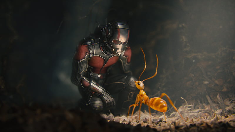 Ant Man Movie, ant-man, movies, HD wallpaper