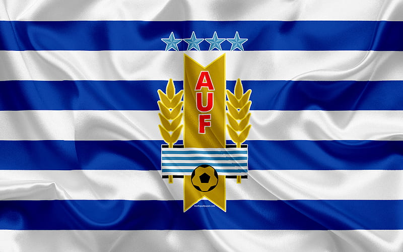 Uruguay  Football logo, Uruguay, Futbol