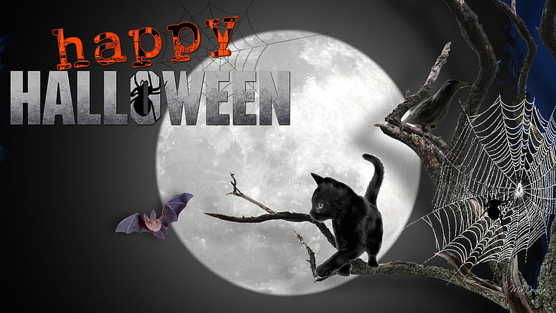 Happy Halloween, tree, spooky, halloween, full moon, bat, scary, firefox persona, cat, HD wallpaper